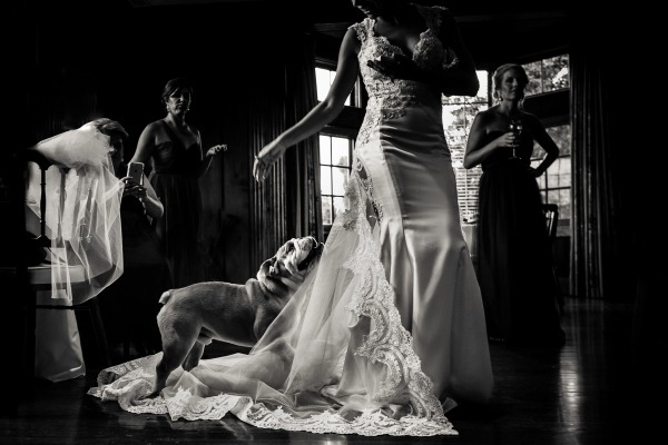 Big Sur wedding photography Preserving Every Precious Moment